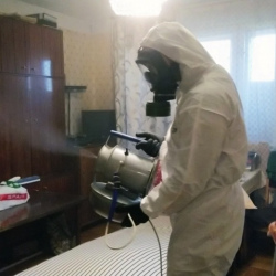 Дезинфекция от клопов в Новомосковске